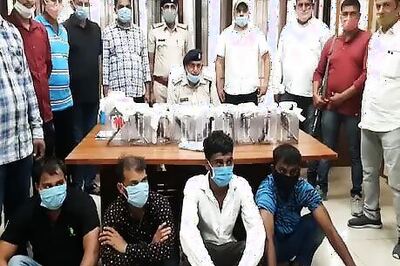 Police Car Stopped For Robbery, 4 Youths With Illegal Arms Arrested In Haryana