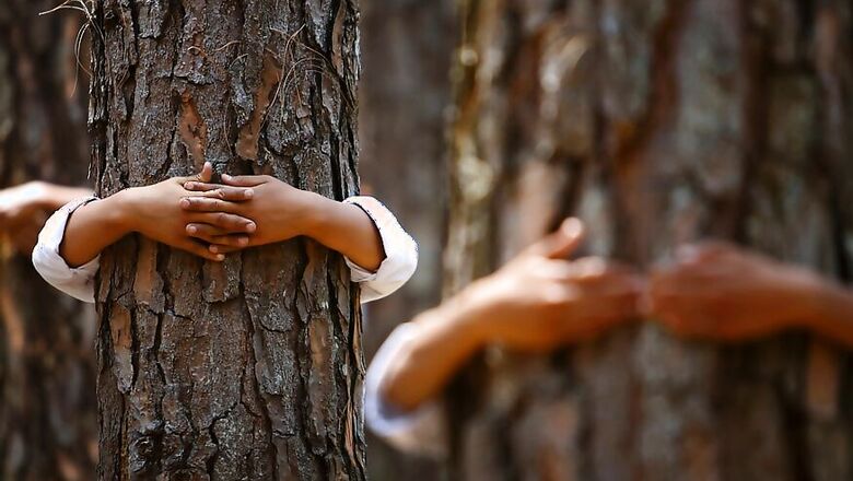 Centre, AAP in Twitter War Over Felling of Trees in South Delhi