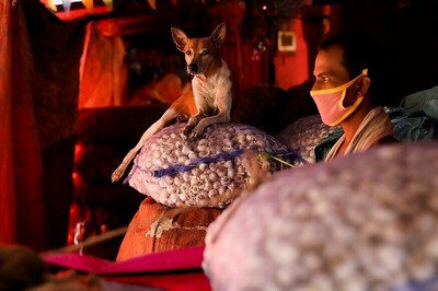 In 1st Signs of Growth Since Lockdown, India's Manufacturing-Purchasing Index Touches 52 Despite Fall in GDP