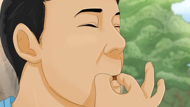 How to Get Your Dog's Attention