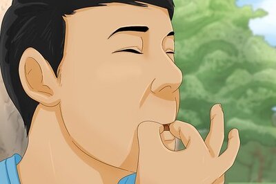 How to Get Your Dog's Attention