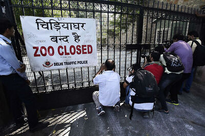 Bird Flu Scare: Eight More Birds Die, Delhi's Popular Deer Park Shut