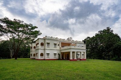 4 Beautiful Jungle Resorts to Visit in India