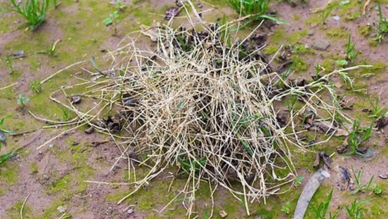How to Use a Flint Stick