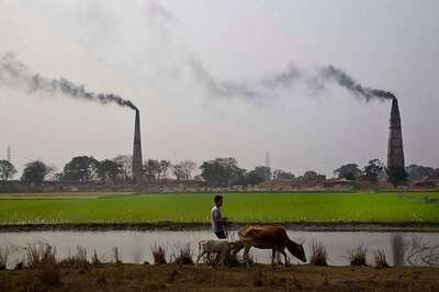 Farmer Issues Must be Resolved as per Regional Needs: President