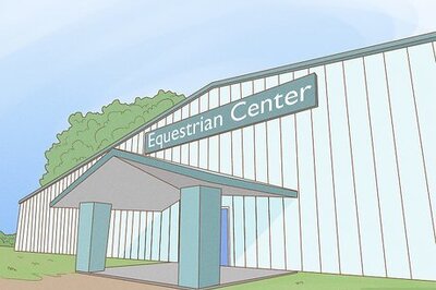 How to Begin Horseback Riding