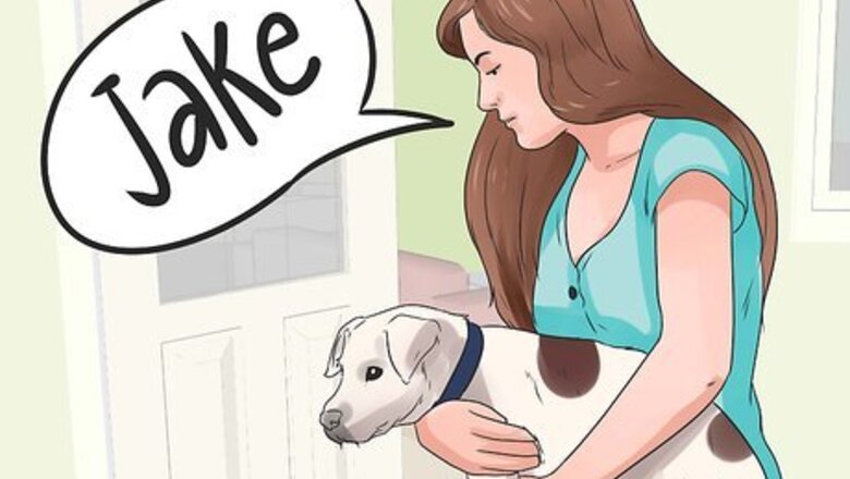 How to Name Your New Puppy or Dog