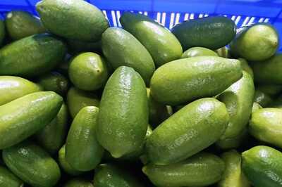 Glowing Skin To Stronger Immunity, Health Benefits Of Eating Kaji Nemu