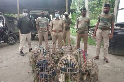 Seven Wild Boar Poachers Arrested by Forest Officials in Gujarat's Tapi