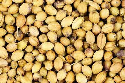 Here Are 4 Health Benefits Of Dhania Juice That Makes It Must-Have In Your Diet