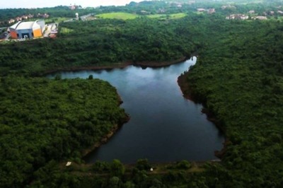 World Wetlands Day 2021: Here is Why It's Important to Save Wetlands