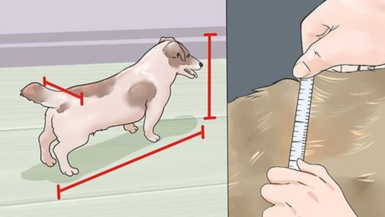 How to Choose Furniture Ramps for Dogs