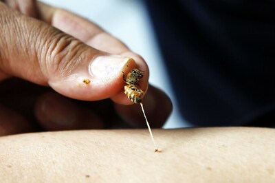 Elderly Man killed by Honey Bees in Odisha