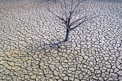 Global Average Temperatures 1.45℃ above Pre-Industrial Levels in 2023: WMO State of The Climate Report