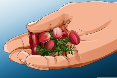 How to Harvest Cranberries