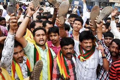 Mahadayi River, the Bone of Contention Between Goa and Karnataka: All You Need to Know