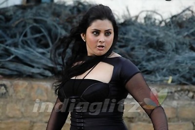 Namitha express desire to act in 'Dirty Picture'