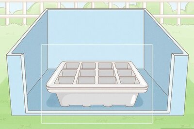 How to Grow Tobacco Inside