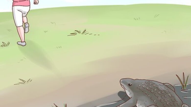 How to Survive Animal Attacks