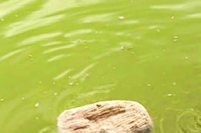These Floating Stones In Two Tamil Nadu Temples Are A Big Tourist Attraction