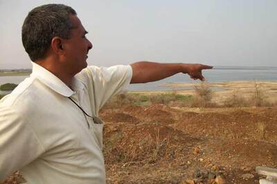 Wardha diary: Taking the bull by the horn