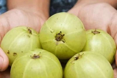 Amla: The Ultimate Superfood For Health, Hair And Skin