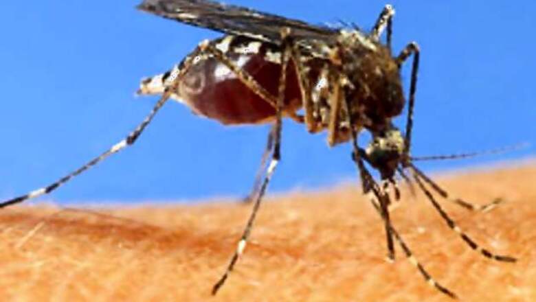 Dengue cases in Delhi, NCR rise to 98