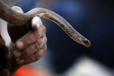 This Woman in Raipur Rescues Snakes, Fights Venom of Sexism with Deadpan Humour