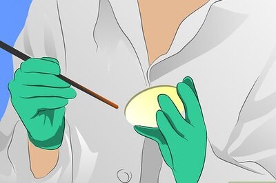 How to Treat a Cat's UTI