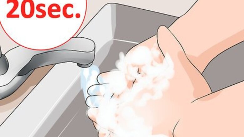 How to Reduce Salmonella Risk when Raising Backyard Chickens