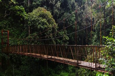 Escape To Paradise: Experience Serenity At These Must-Visit Places In Southern India