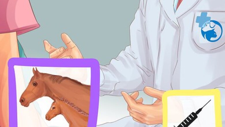 How to Vaccinate Newborn Foals