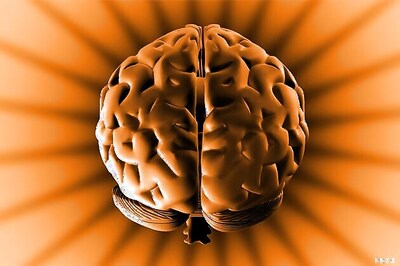 Cells that help brain to measure time decoded