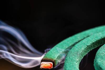 Delhi: 6 Shastri Park Residents Killed as Mosquito Coil Turns Room into Gas Chamber