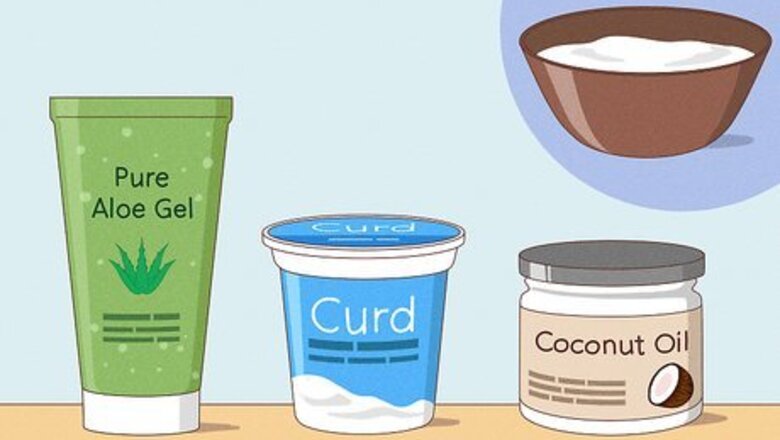 Can You Apply Curd on Oiled Hair?
