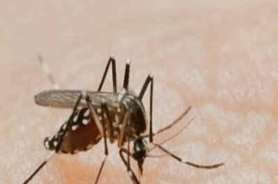 Home Care Tips For Dengue Patients With Mild To Moderate Dengue-Symptoms