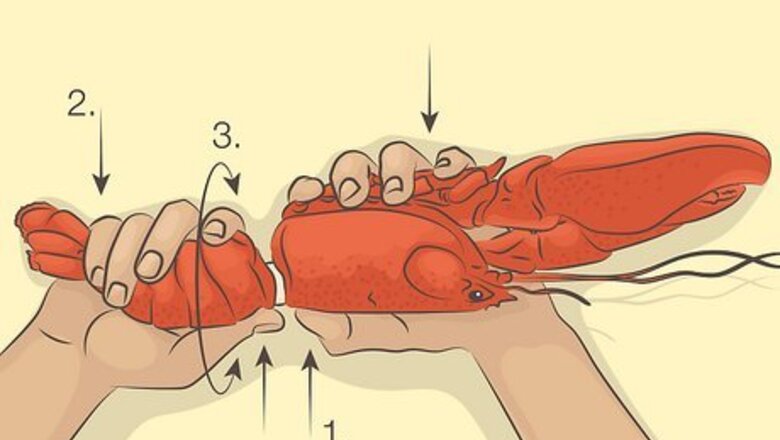 How to Open a Lobster