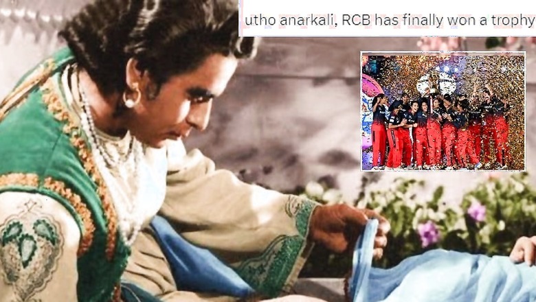RCB Fans Rejoice With Memes as Smriti Mandhana's Team Finally Ends IPL Trophy Drought