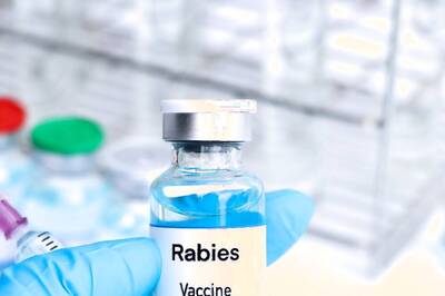 To Cut Rabies Deaths, Govt Panel Evaluating Use Of Antibody Shots After Dog Bites