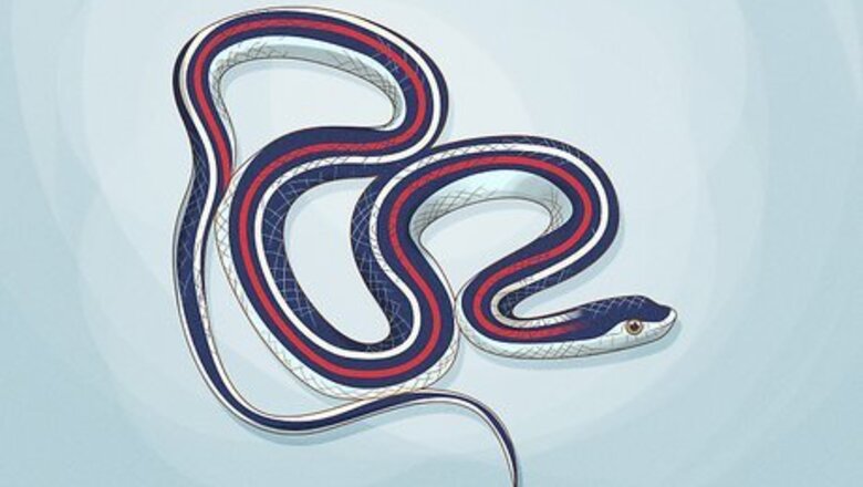 How to Catch a Garter Snake