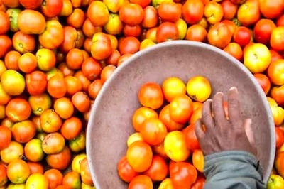 Tomato Prices Up To Rs 200/kg; Other Veggies Get Costlier Due To Heavy Rains