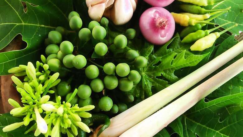 Eat These Immunity-Boosting Foods That Can Help You Prevent Dengue