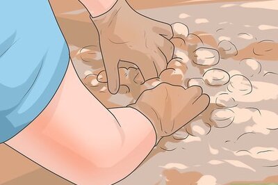 How to Stop Cats From Using Your Yard As a Litterbox