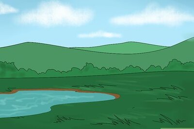 How to Organize a School Camping Trip