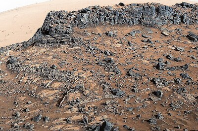 Giant 'Leaf' For Mankind: The Future Is Space Gardening