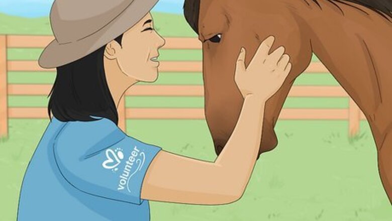 How to Work With Animals at a Zoo