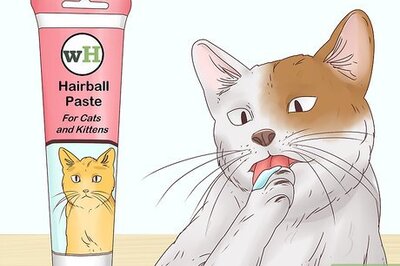 How to Help a Cat Cough Up a Hairball