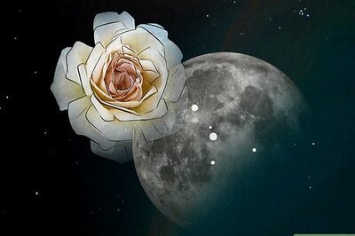 What is Cancer’s Zodiac Flower? (Plus 5 Stunning Alternatives)