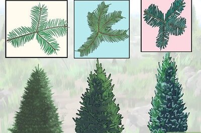 How to Decorate an Elegant Christmas Tree (with Pictures)