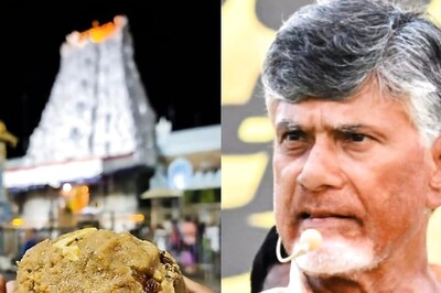 Tirupati Laddoo Row: Andhra Pradesh Govt Sets Up 9-Member SIT To Lead Ghee Adulteration Probe